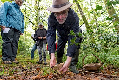 Fungal Foray
