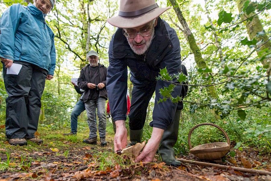 Fungal Foray
