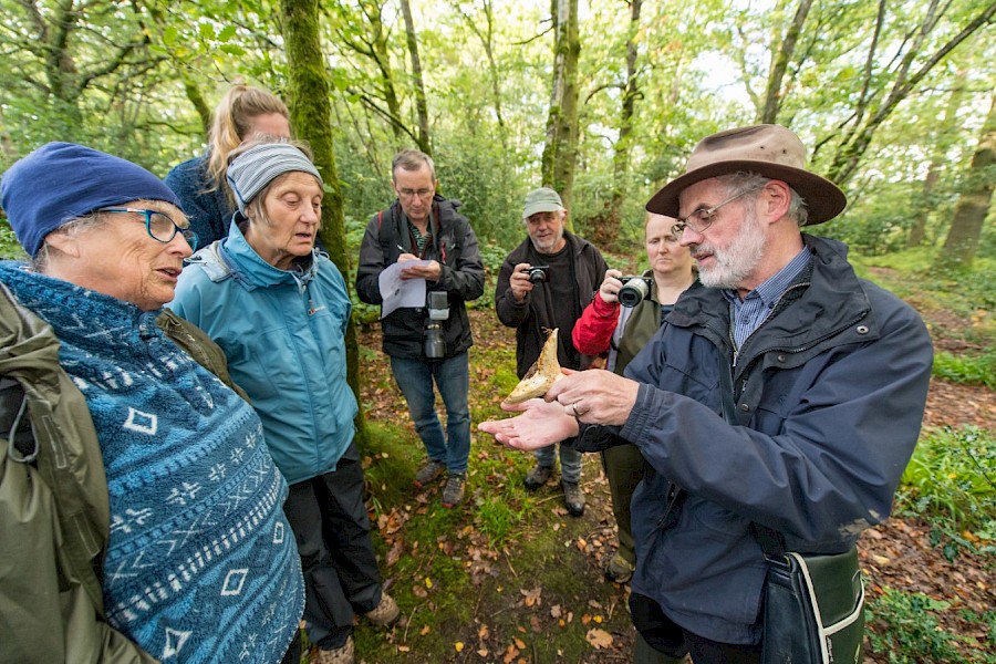 Fungal Foray