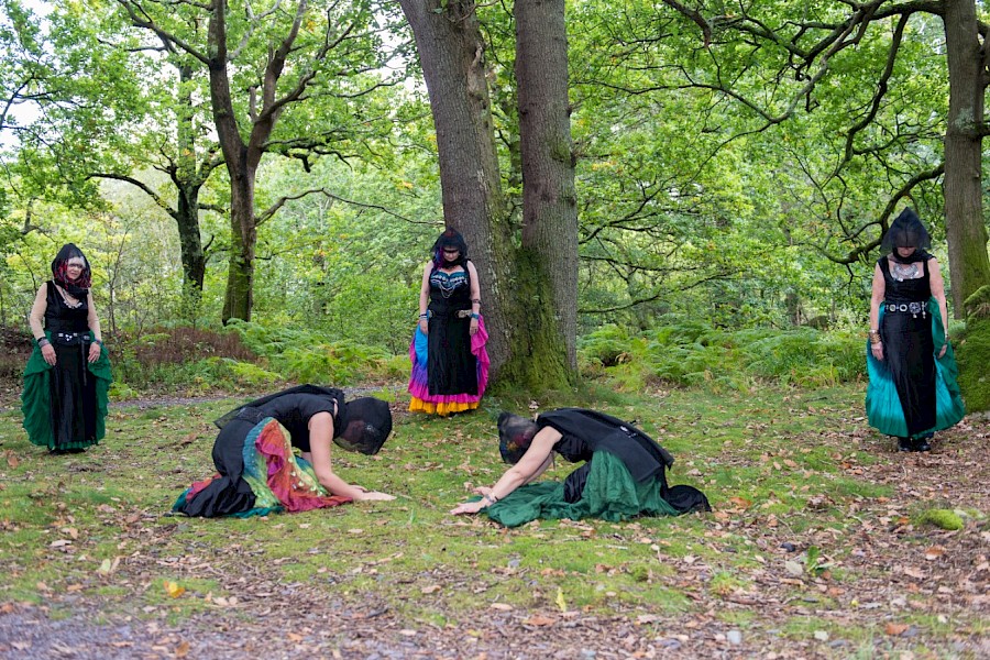 Parc Meurig